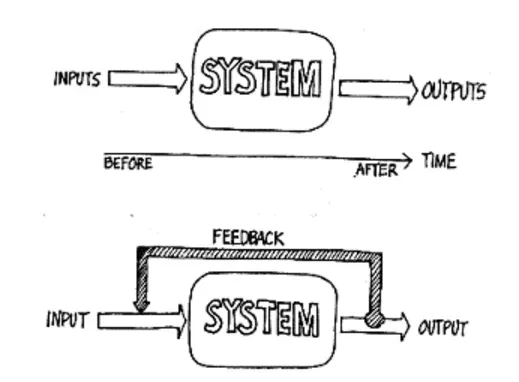 Information System Feedback Loops