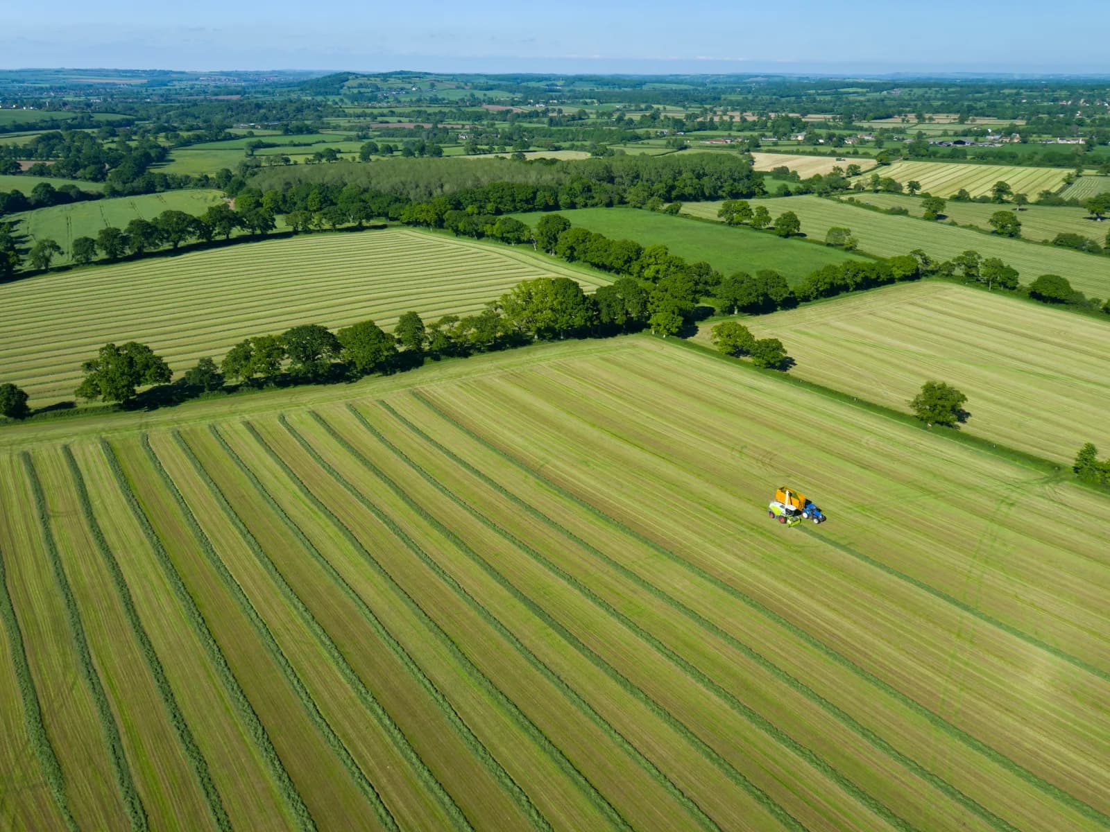 Farmland near Blaine, Washington, served by Schedule F farm tax preparers